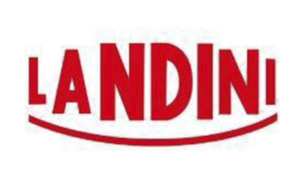 LANDINI